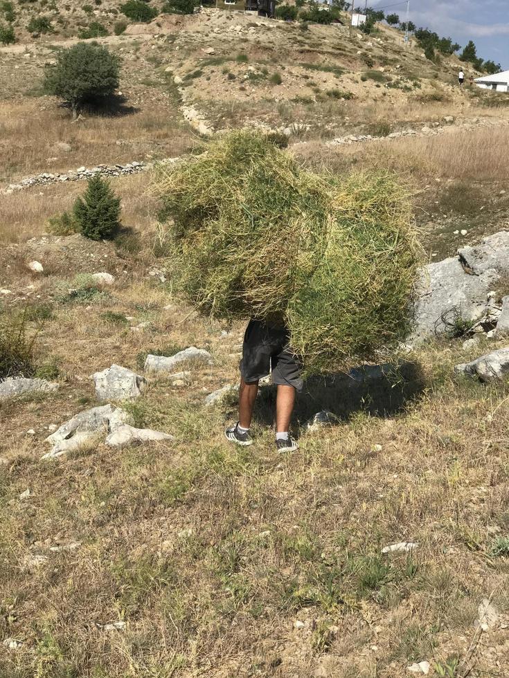 gente del villaggio di contadini foto