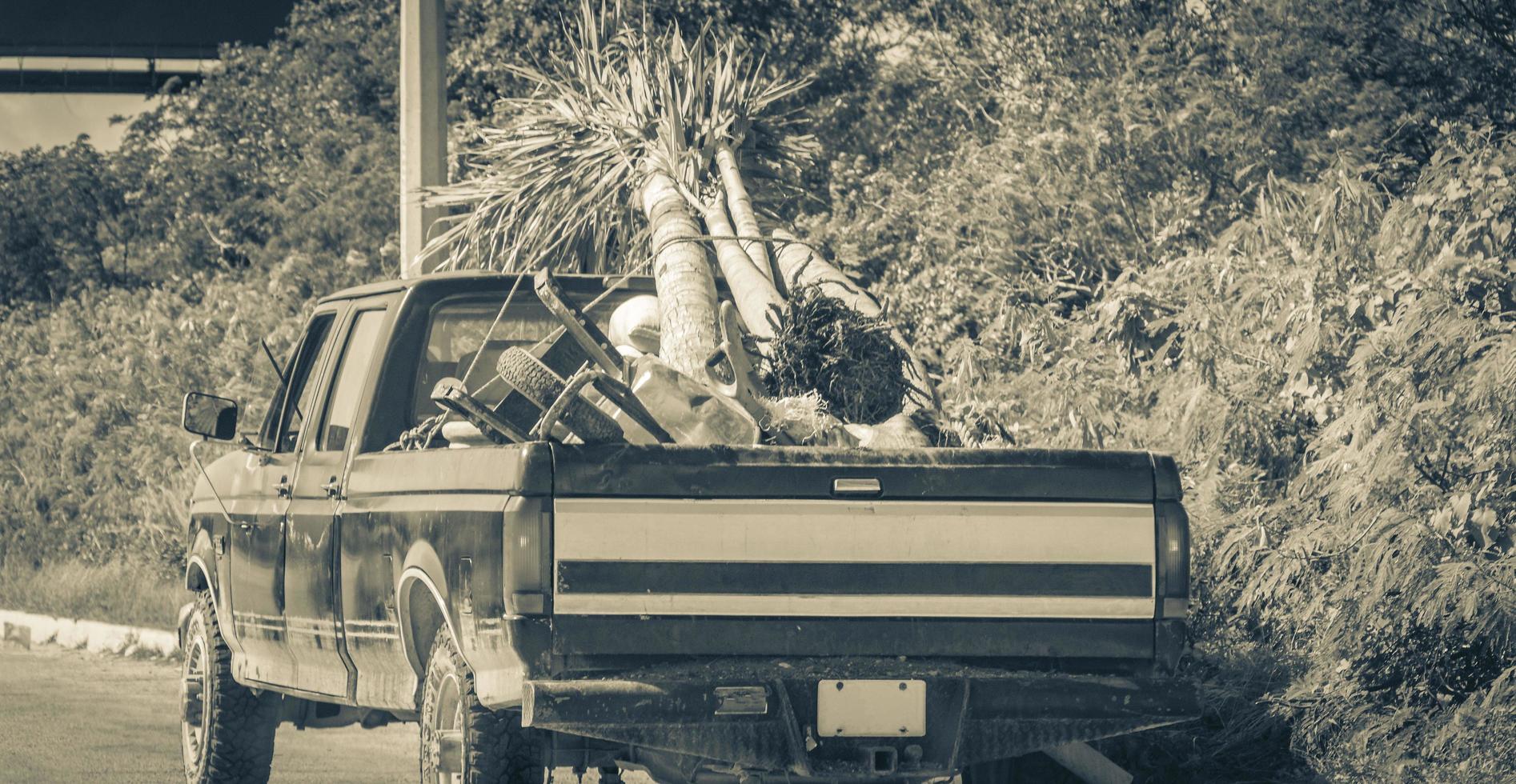 vecchio sporco americano pick up camion auto con palme sul pianale del camion foto