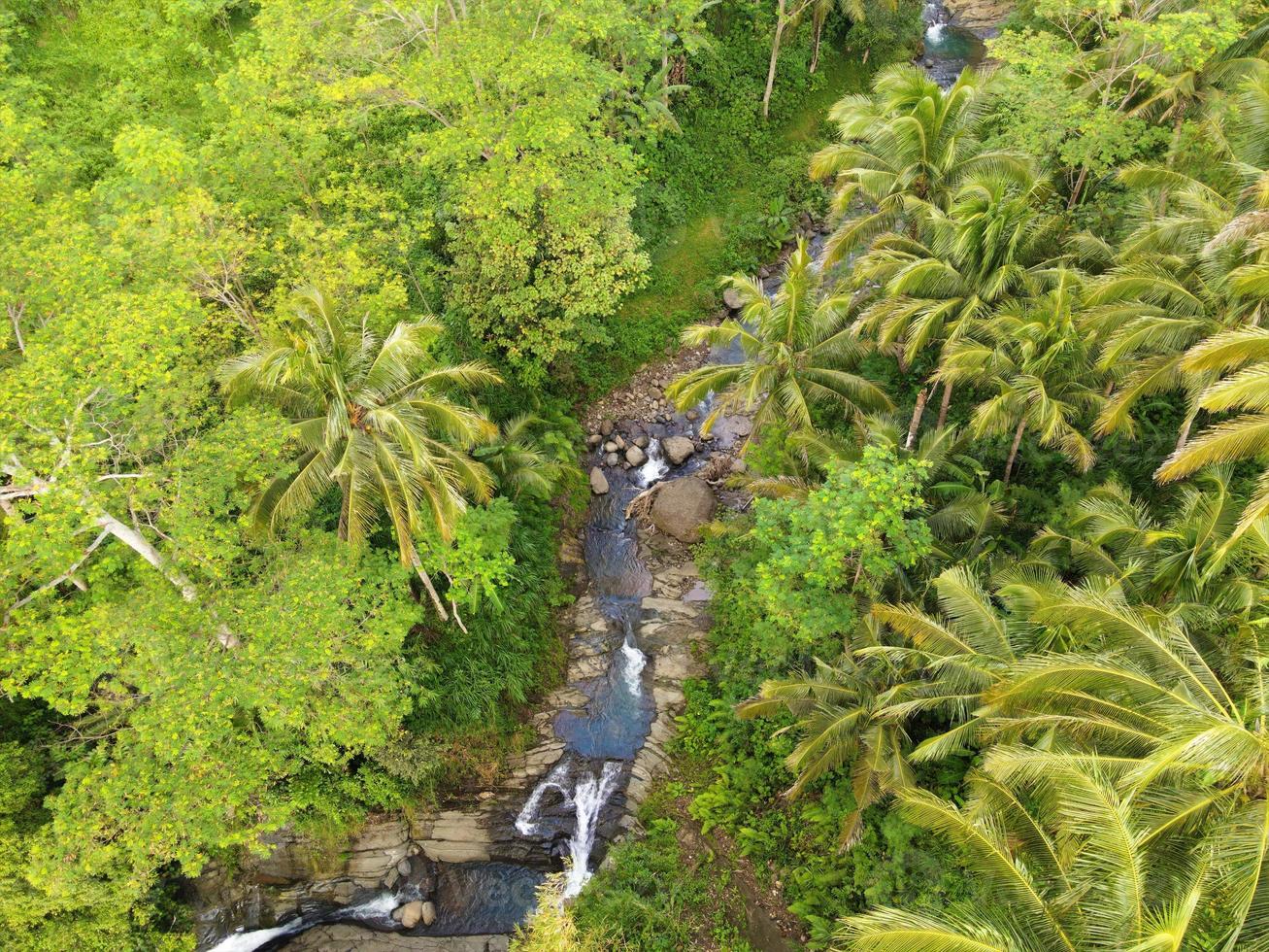 bella vista aerea, fiume nella foresta tropicale foto