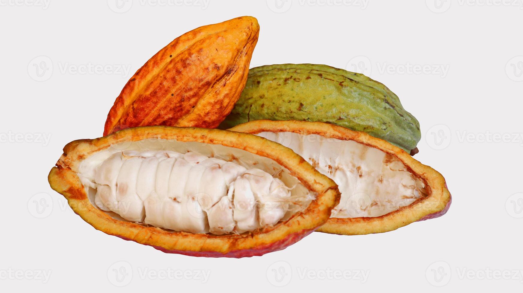 i baccelli di cacao maturi sono di colore giallo arancio verde che sono spaccati, isolati su sfondo bianco e i semi sono visibili. cacao o theobroma cacao l. è un albero coltivato nelle piantagioni foto