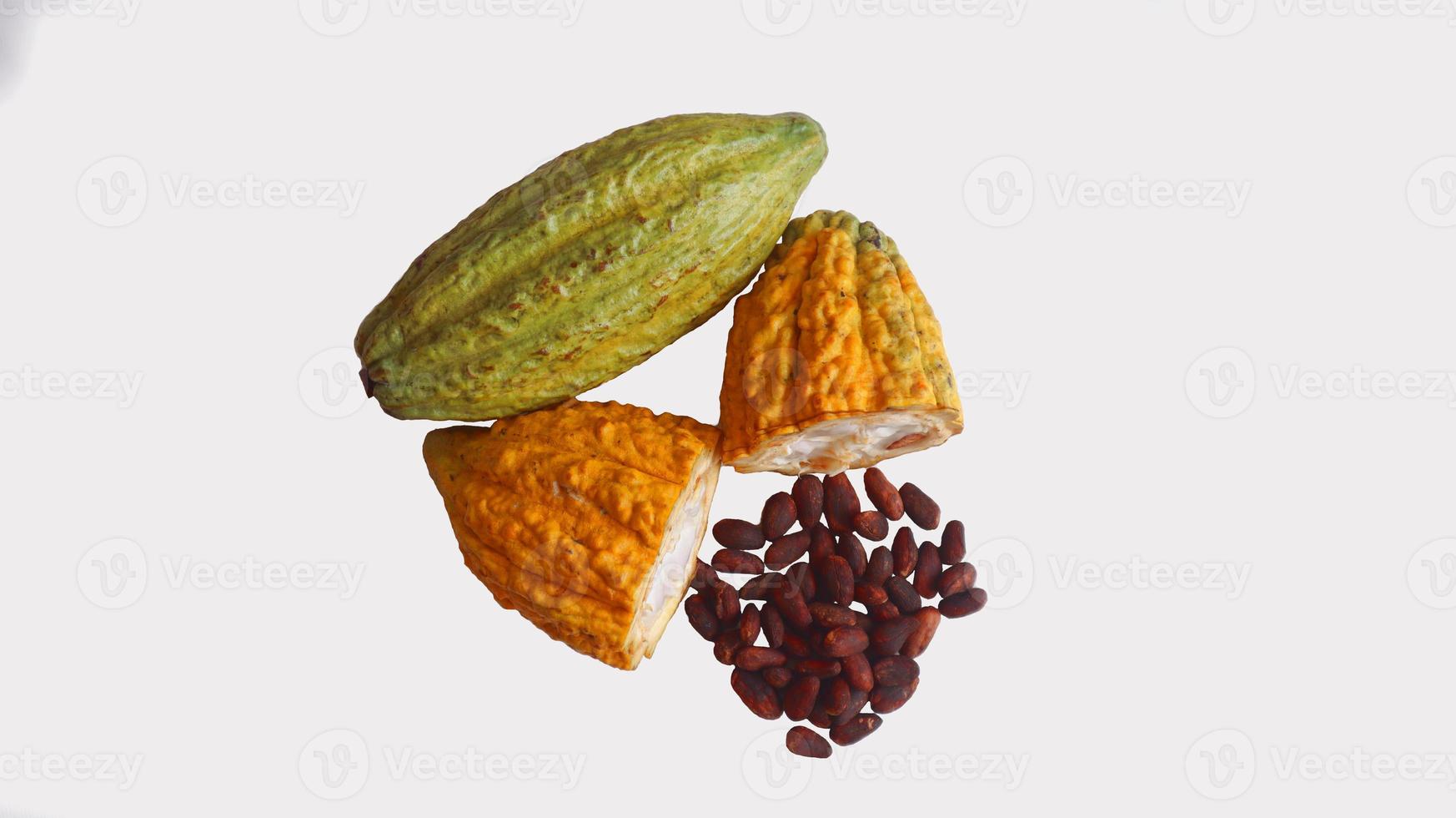 i baccelli di cacao maturi sono di colore giallo arancio verde che sono spaccati, isolati su sfondo bianco e i semi sono visibili. cacao o theobroma cacao l. è un albero coltivato nelle piantagioni foto