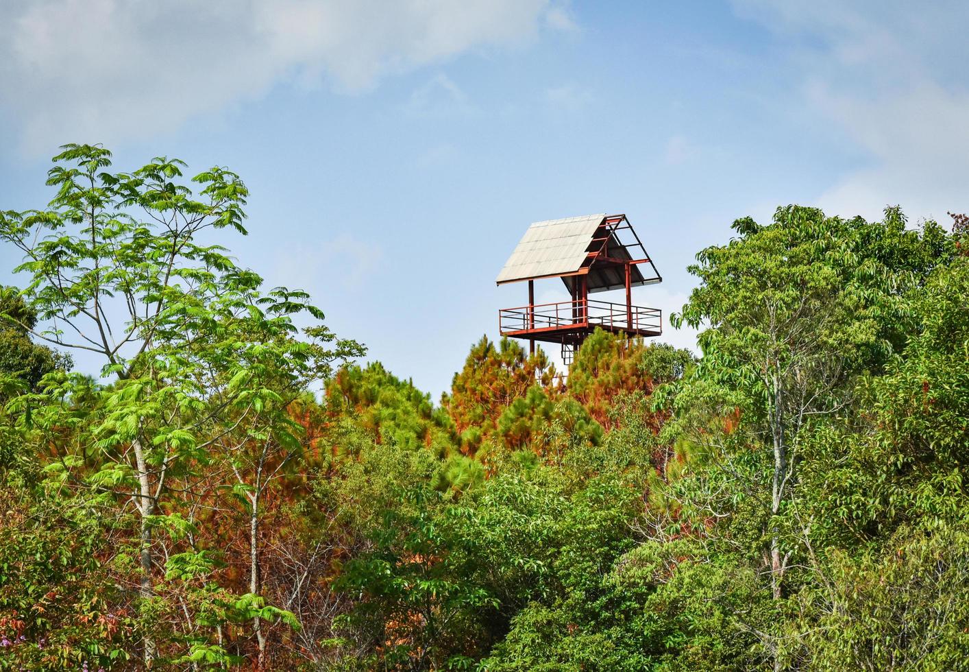 torre di caccia vedetta vista fauna selvatica nella foresta foto