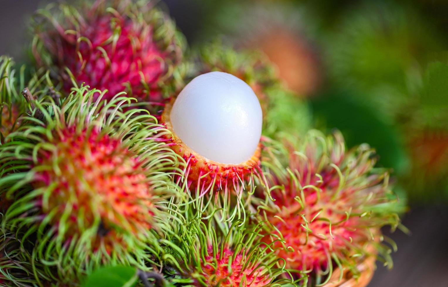 Rambutan fresco e maturo dolce frutta tropicale rambutan sbucciato con foglie, frutta rambutan su cesto e fondo in legno raccolto dal giardino foto