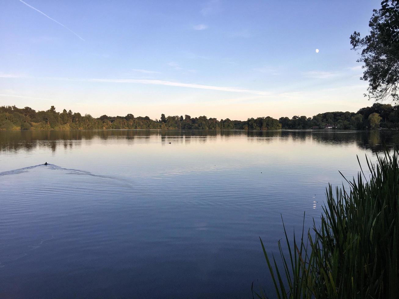 una vista del lago ellesmere al sole della sera foto