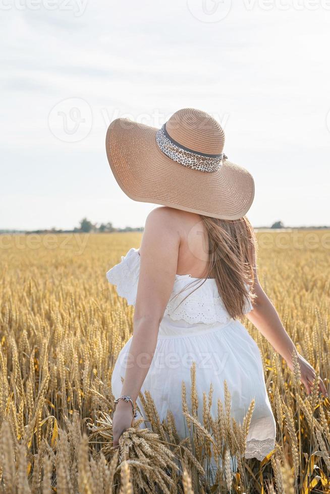giovane donna in abito bianco in piedi su un campo di grano con alba sullo sfondo, vista posteriore foto