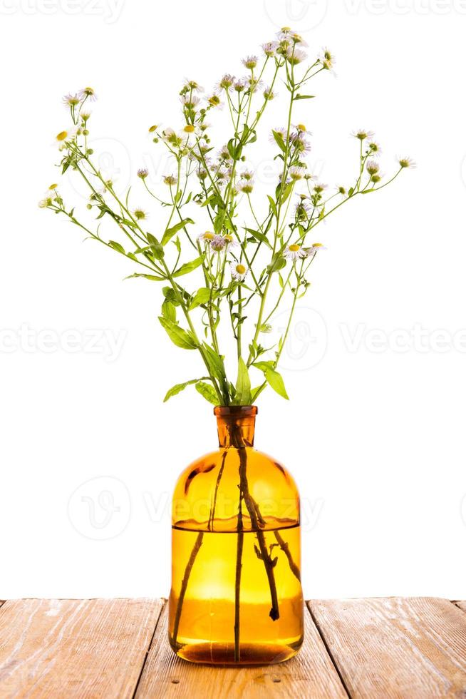 concetto di medicina di erbe - bottiglia con camomilla sul tavolo di legno foto