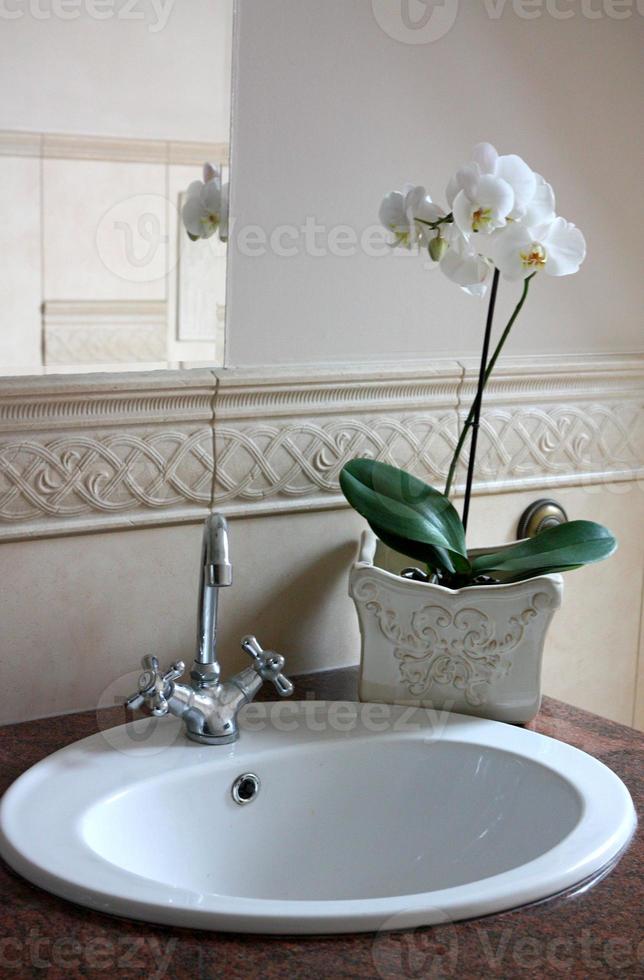 orchidea in bagno foto
