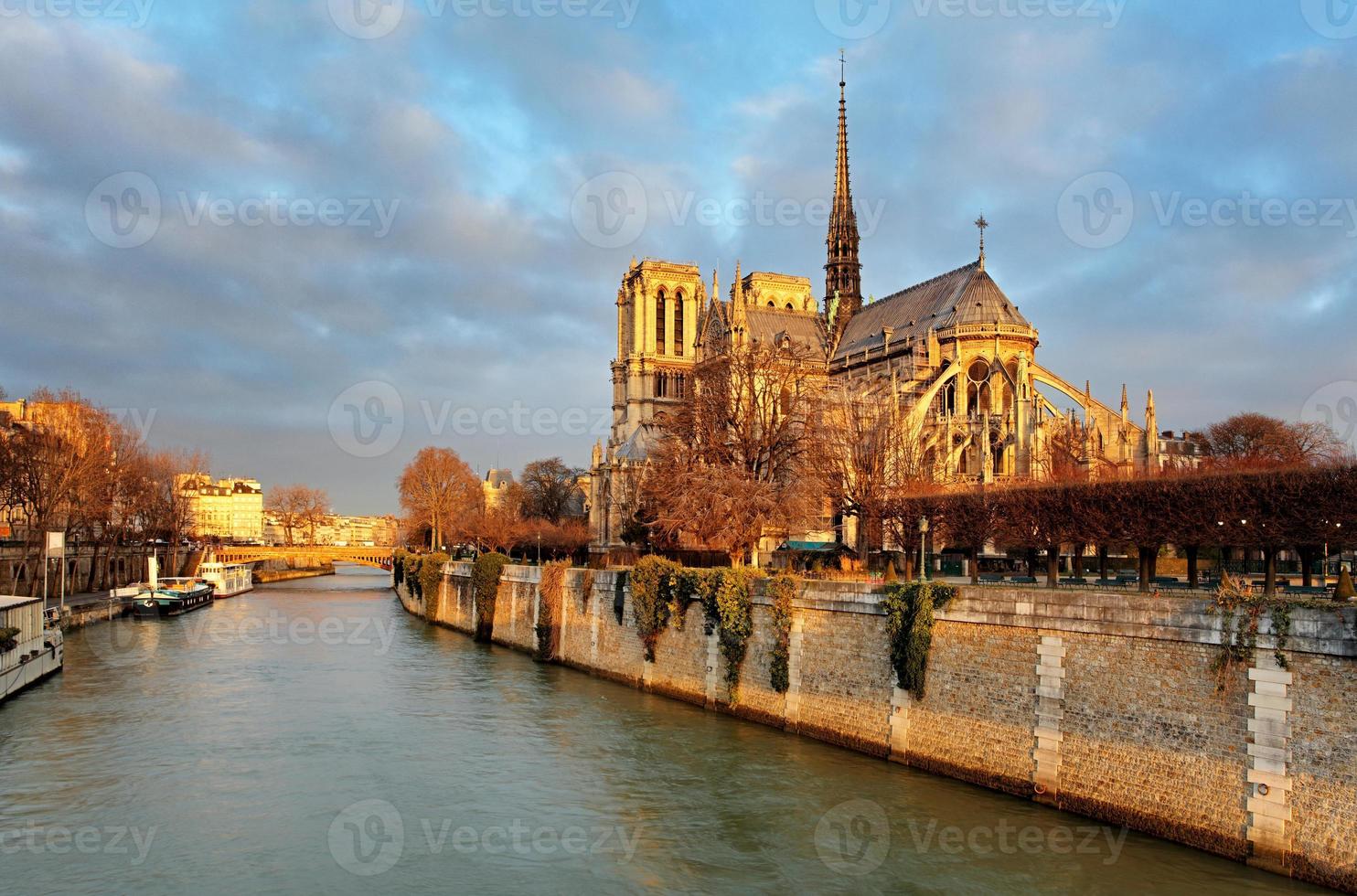 Notre Dame all'alba - Parigi, Francia foto