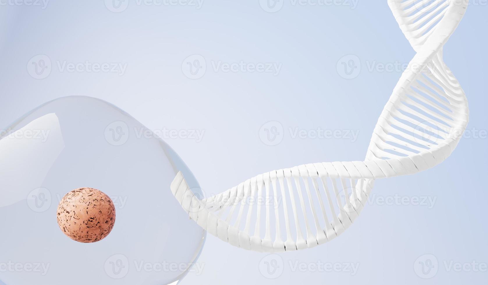 3d rendono il filamento complementare dell'elica del dna di rna. sequenze del codice genetico o del genoma. espressione genica. database di nucleotidi. il dogma centrale del processo di trascrizione e traduzione. gene umano. foto