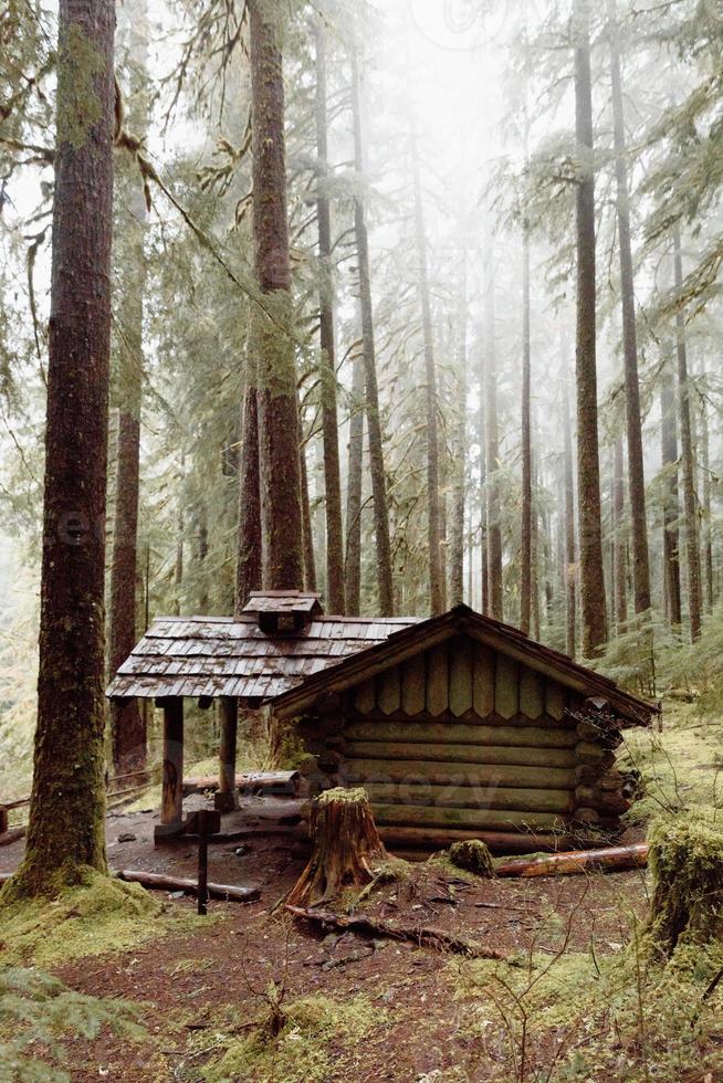 capanna di legno nel bosco foto