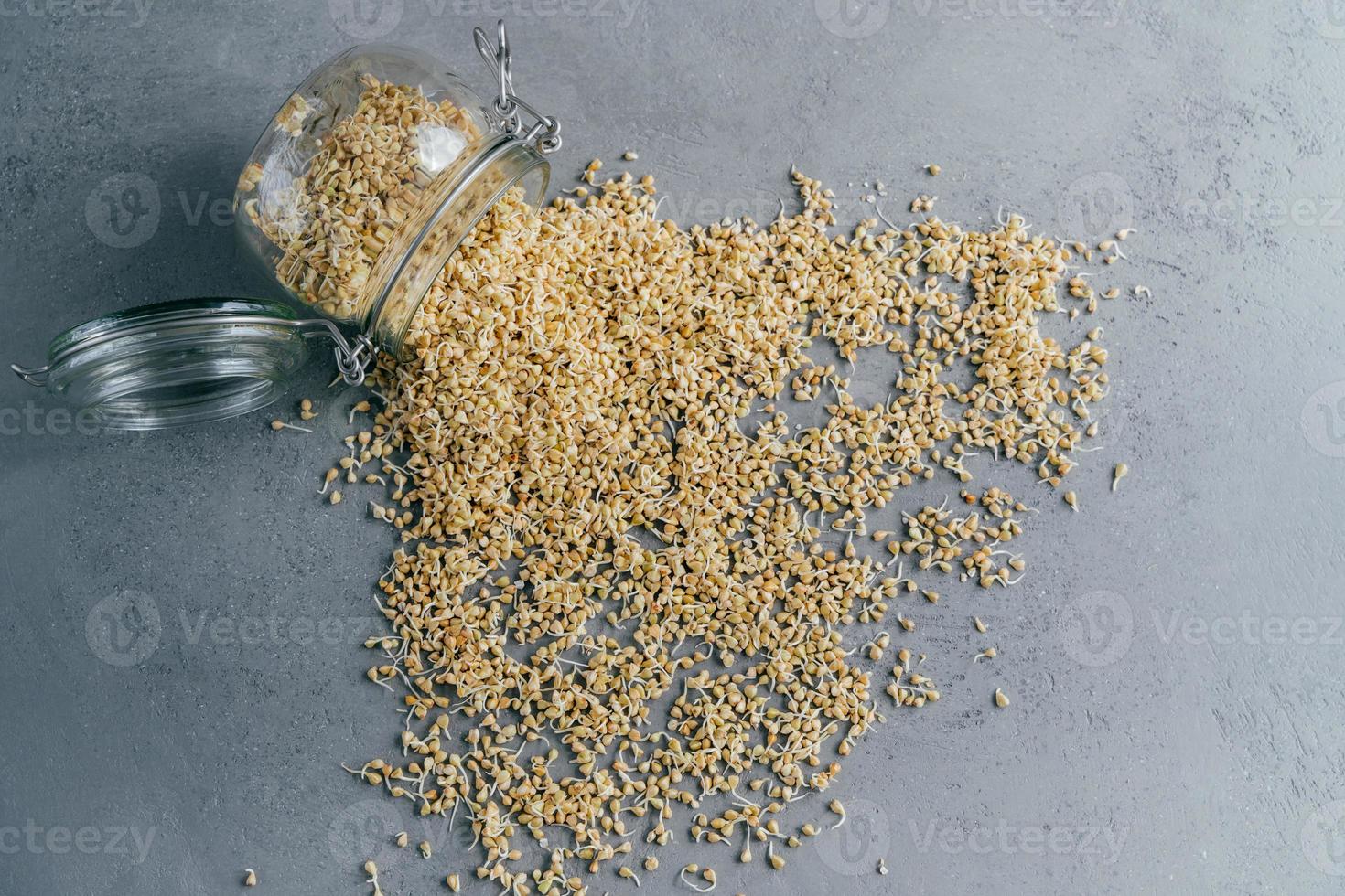 grano tenero germogliato versato dal barattolo di vetro su sfondo grigio. germogli biologici vegani. prodotti ecologici. concetto di dieta e alimentazione sana foto