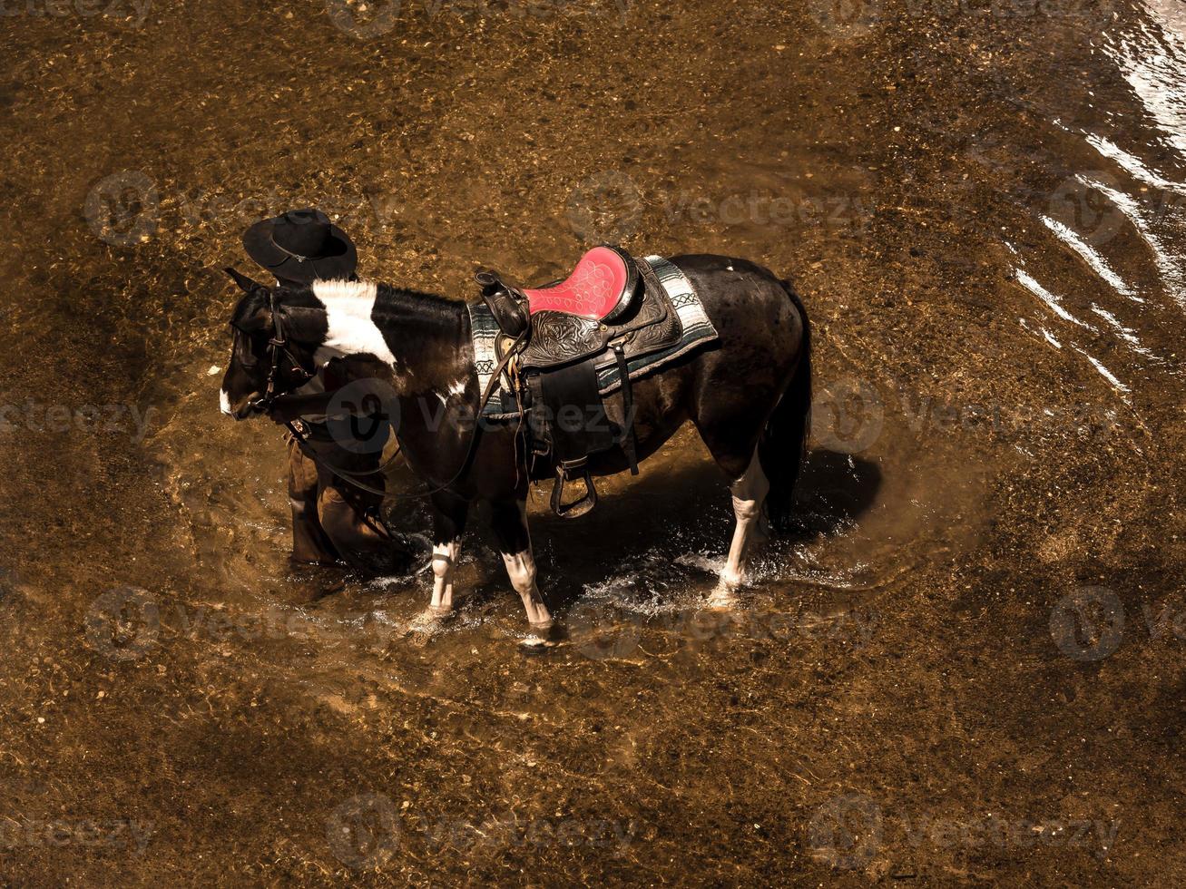 i vecchi cowboy riposano con i loro cavalli nel ruscello dopo aver finito di fare il bagno foto