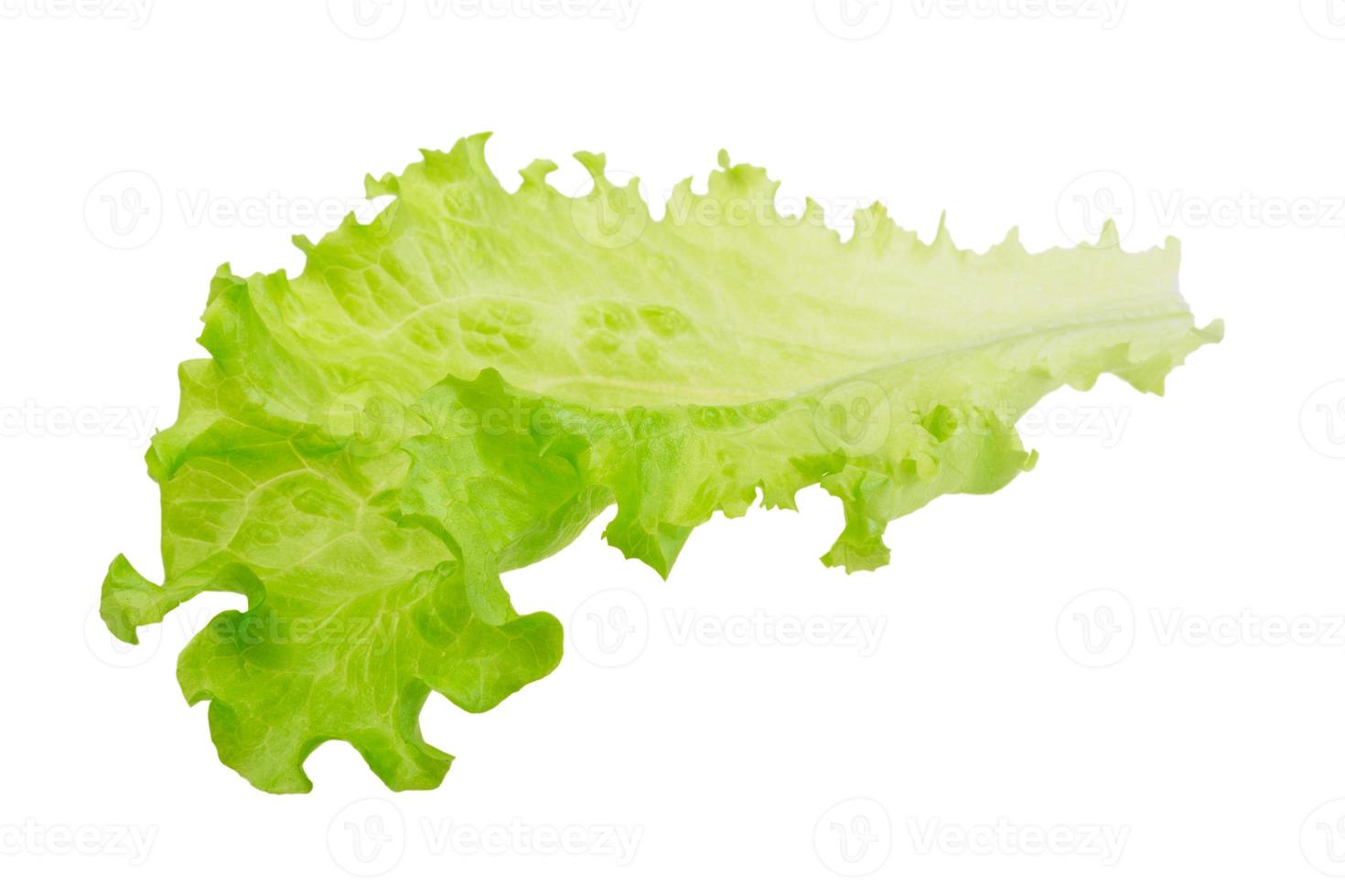 foglie di insalata su sfondo bianco foto