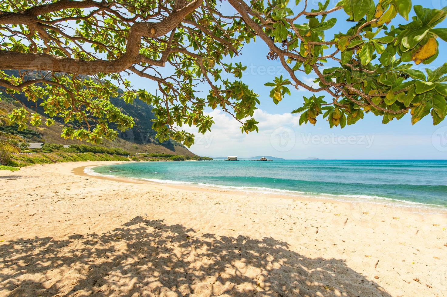 spiaggia hawaiana con sabbia e montagna sullo sfondo foto