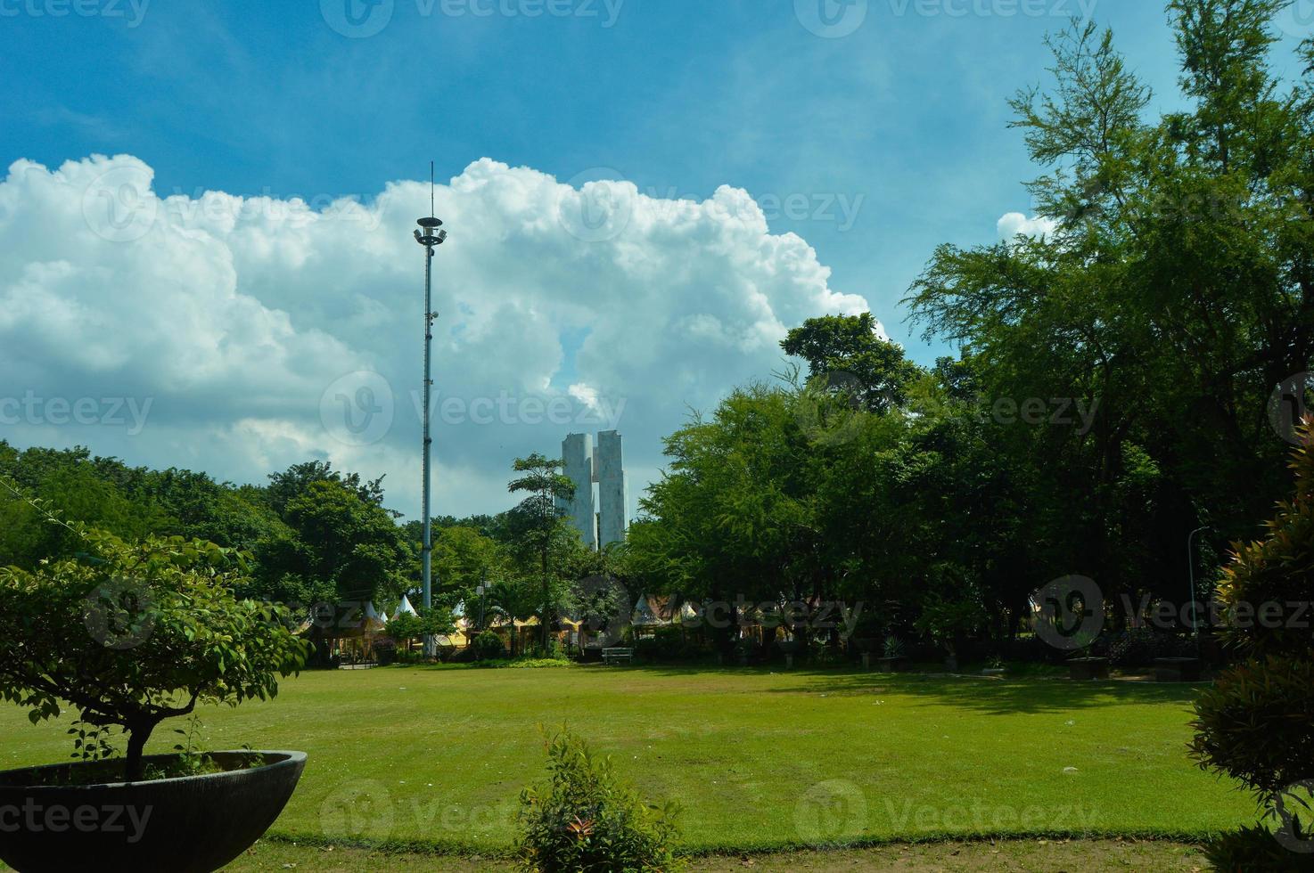 vista giardino con bellissime piante e nuvole foto