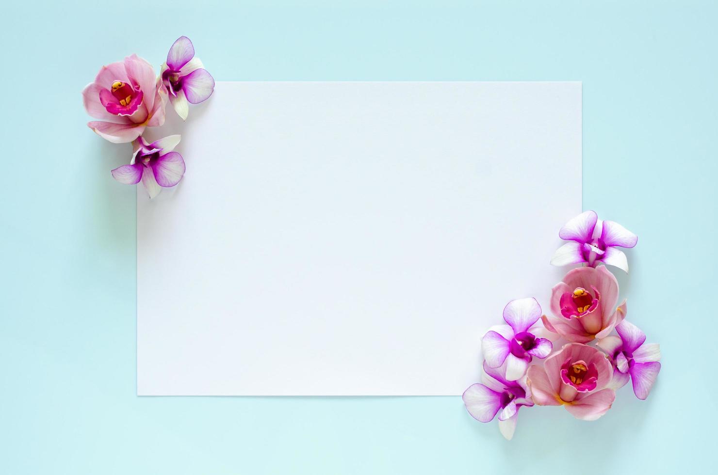 carta bianca vuota per testo con fiori di orchidee di due coni su sfondo blu pastello. foto