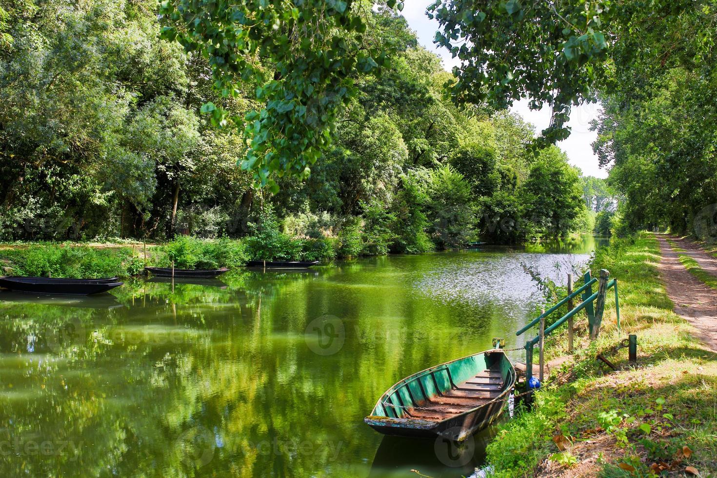 la palude di Poitevin foto