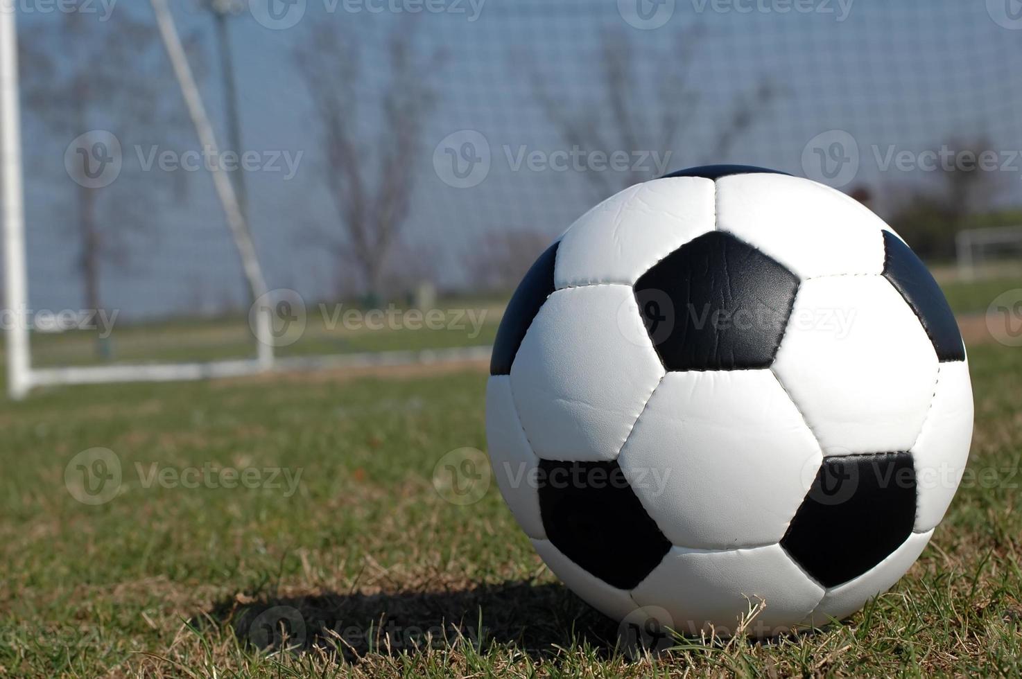 pallone da calcio sul campo con rete foto