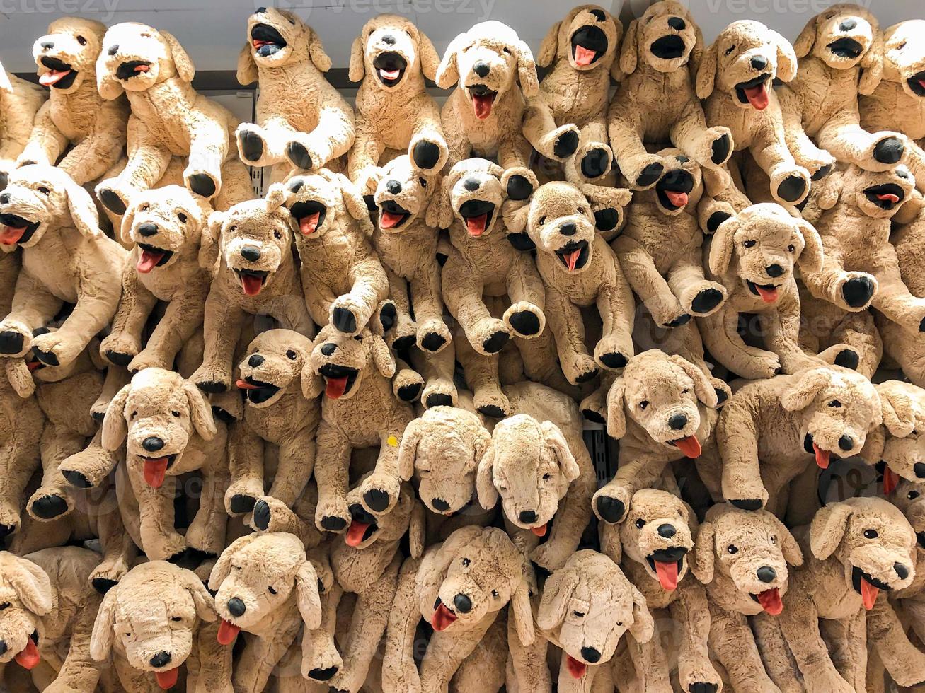 le bambole del cane marrone sono appese al muro per le vendite nei bambini partono dal grande magazzino. foto
