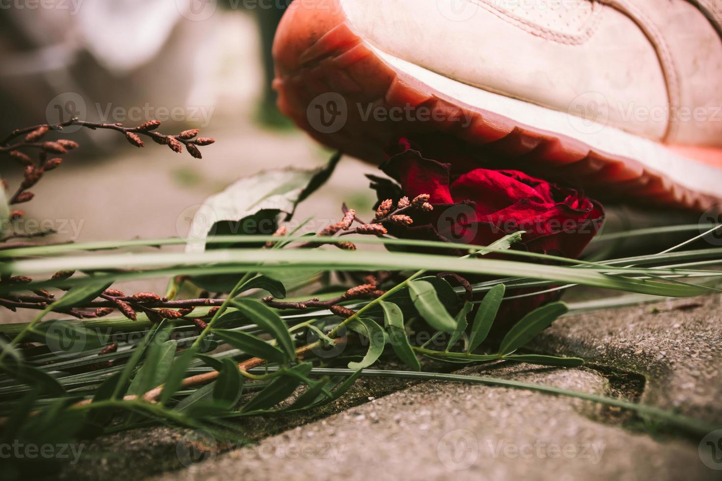 una rosa che viene calpestata con una scarpa foto