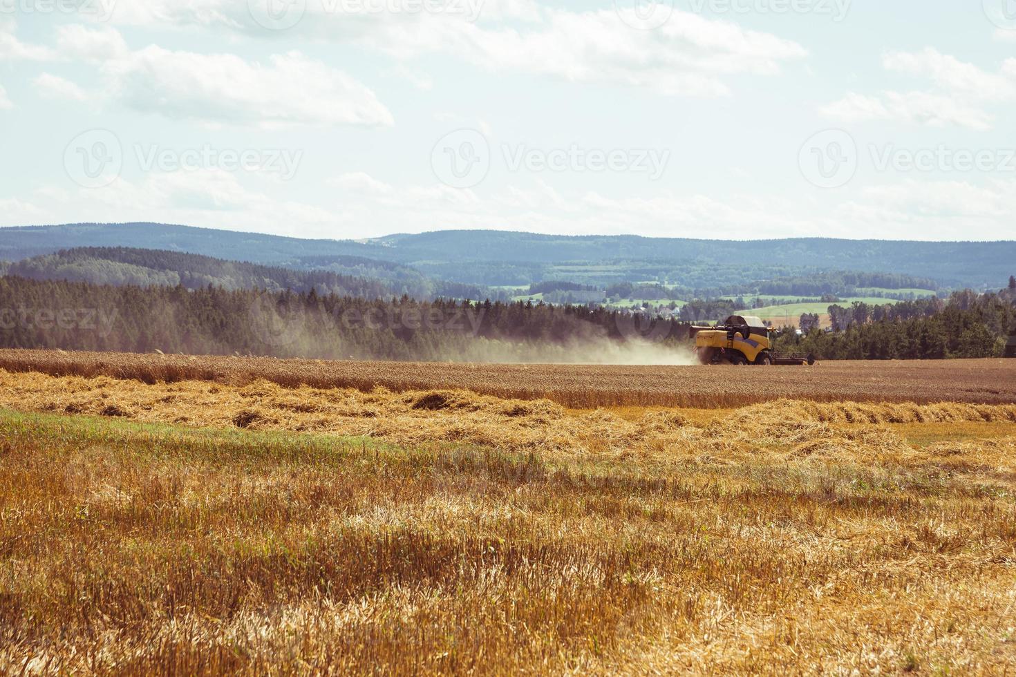 singola mietitrebbia su un campo foto