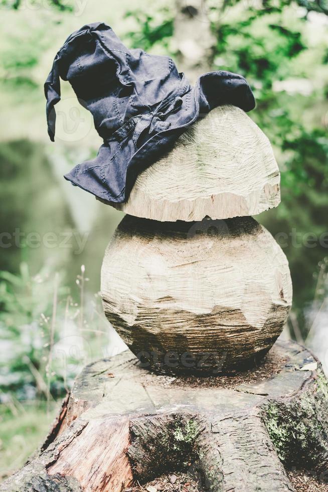 cappello da strega su un fungo di legno foto