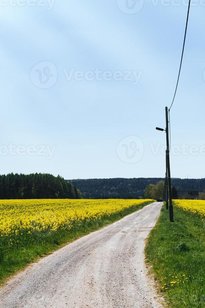 strada sterrata in estate foto