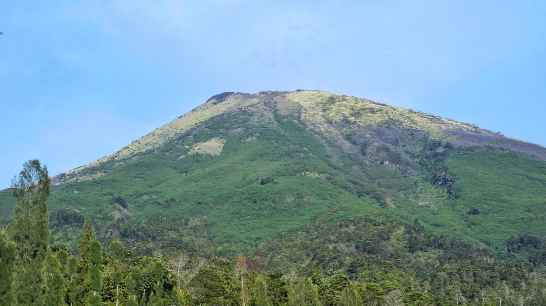 la cima della montagna vista da lontano con il suo colore verde foto