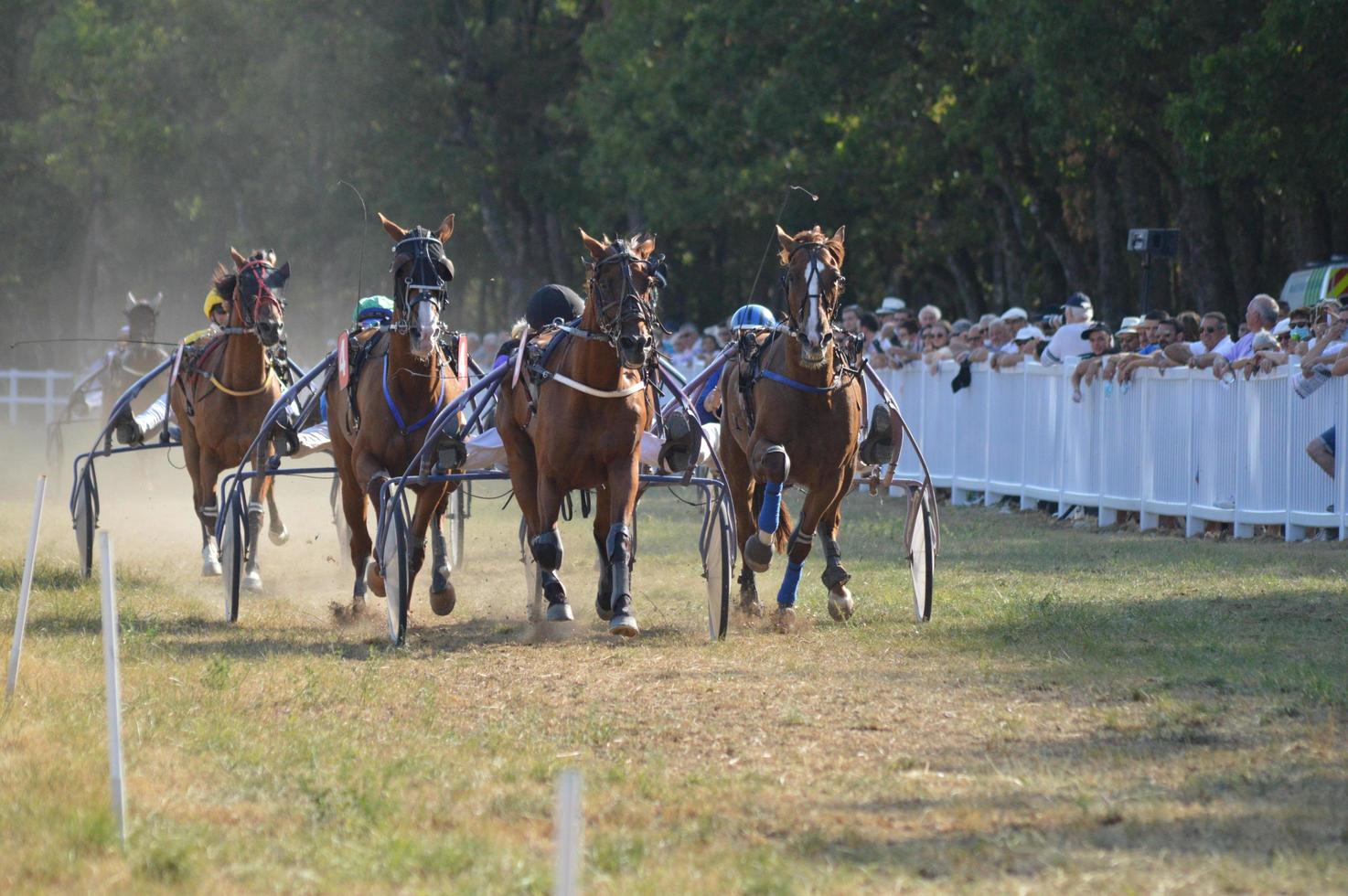 ippodromo agosto 09.2020 sault, francia foto