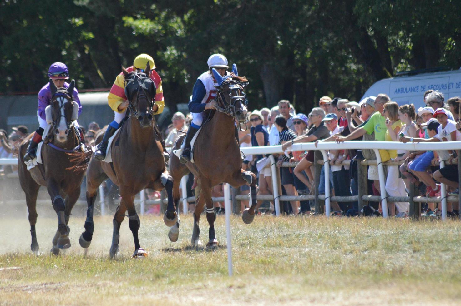 ippodromo agosto 08.2017 sault, francia foto