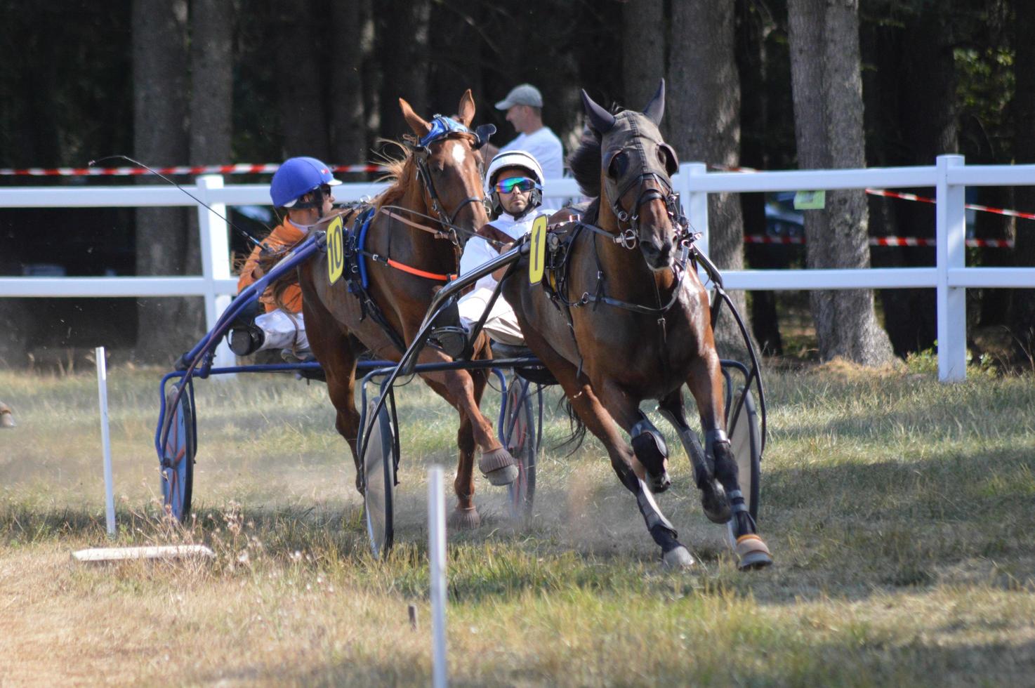 ippodromo 11 agosto 2019 sault, francia foto