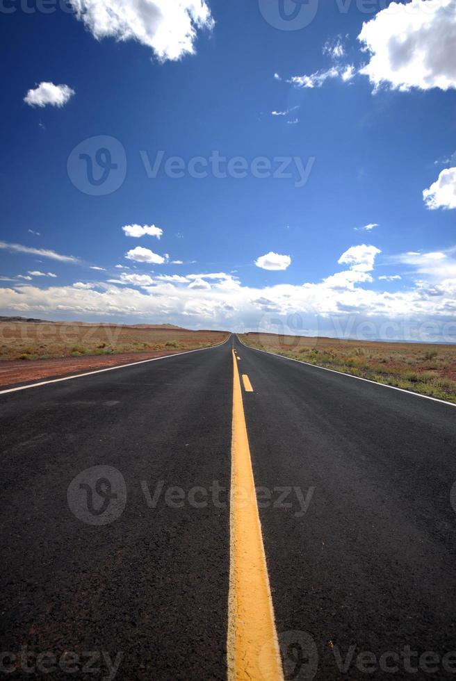 autostrada del deserto verticale foto
