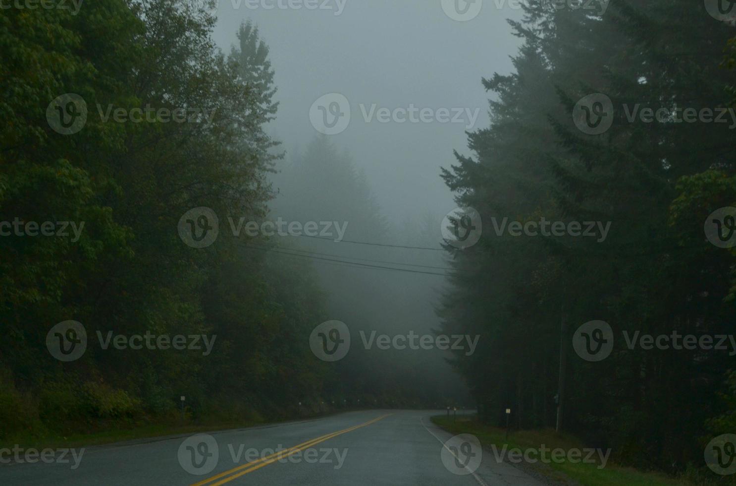 nebbia sulla strada foto