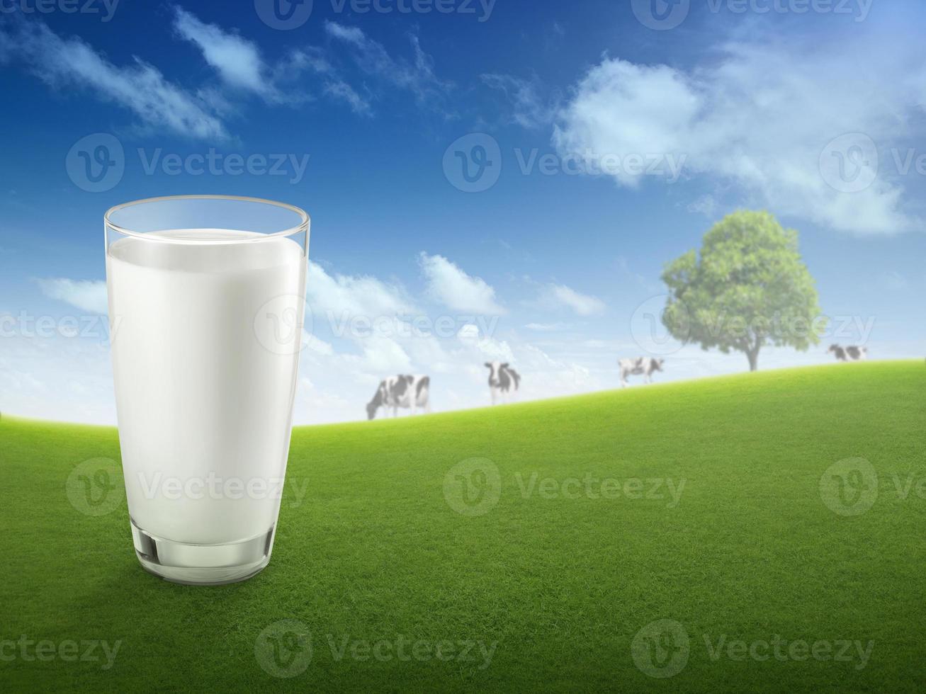 latte fresco in vetro e paesaggio sfocato con mucca sul prato. mangiare sano. stile rustico. spazio per il design foto