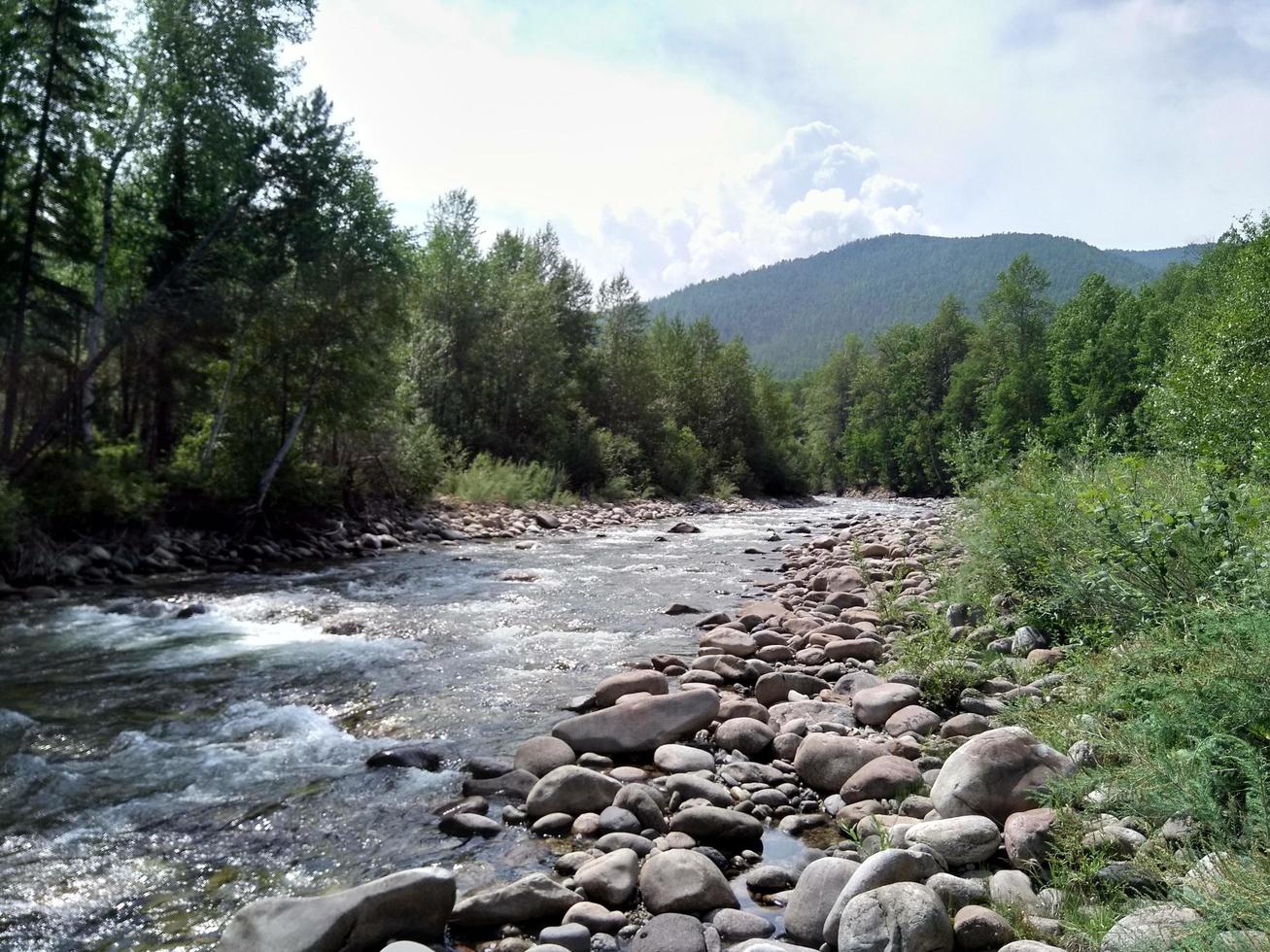 paesaggio estivo con foresta e fiume. foto