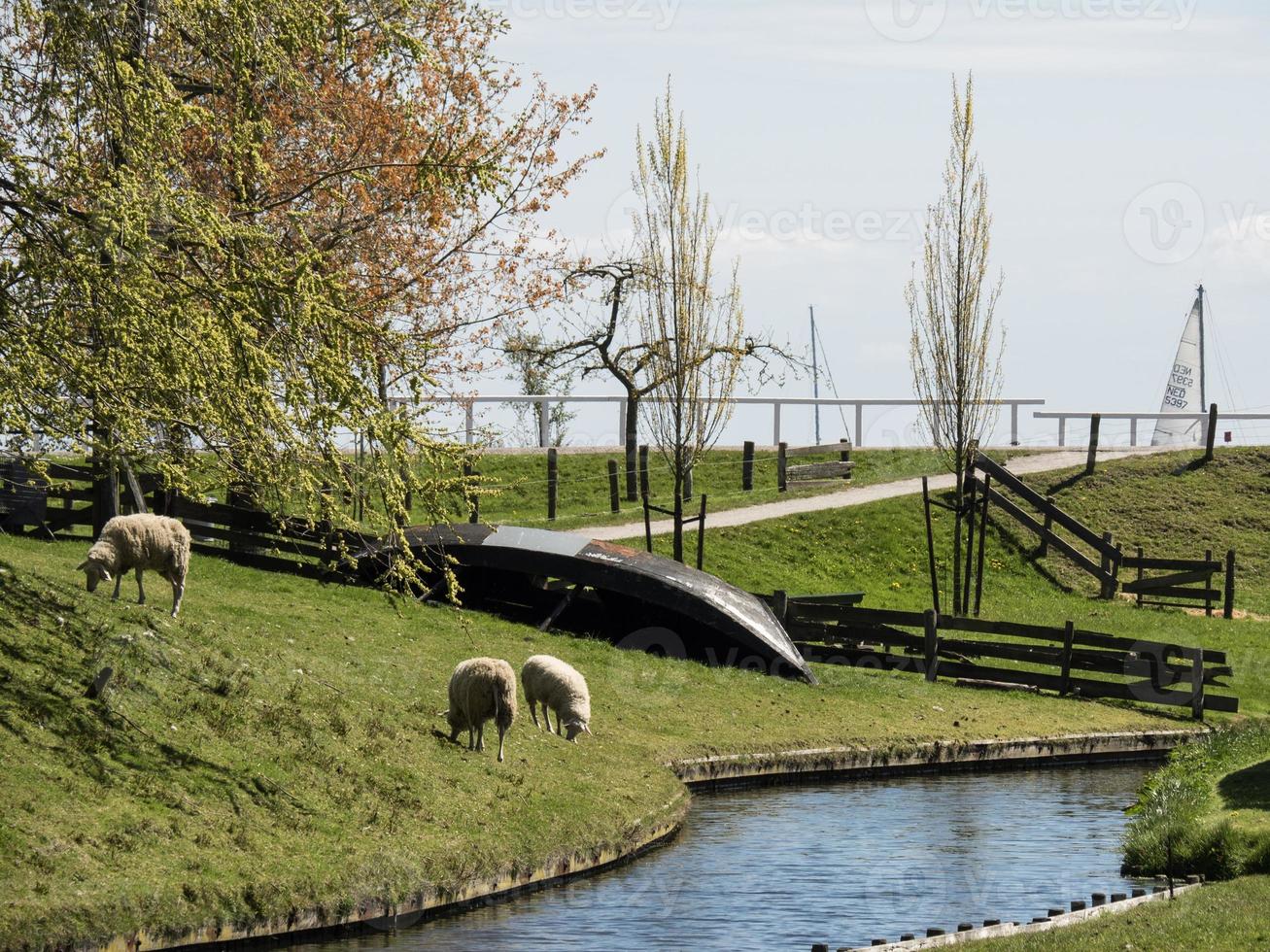 la città olandese di enkhuizen foto