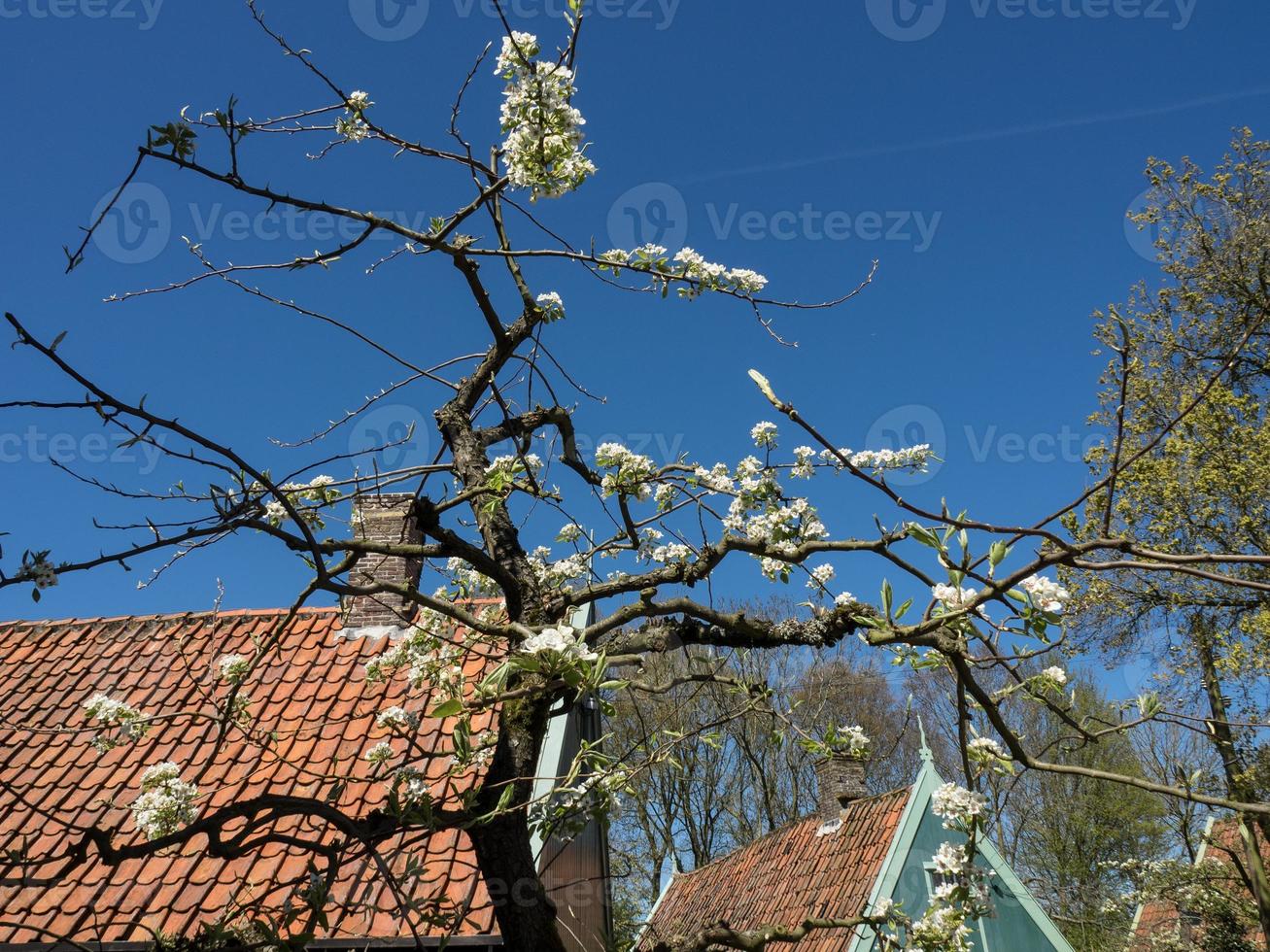 la città olandese di enkhuizen foto