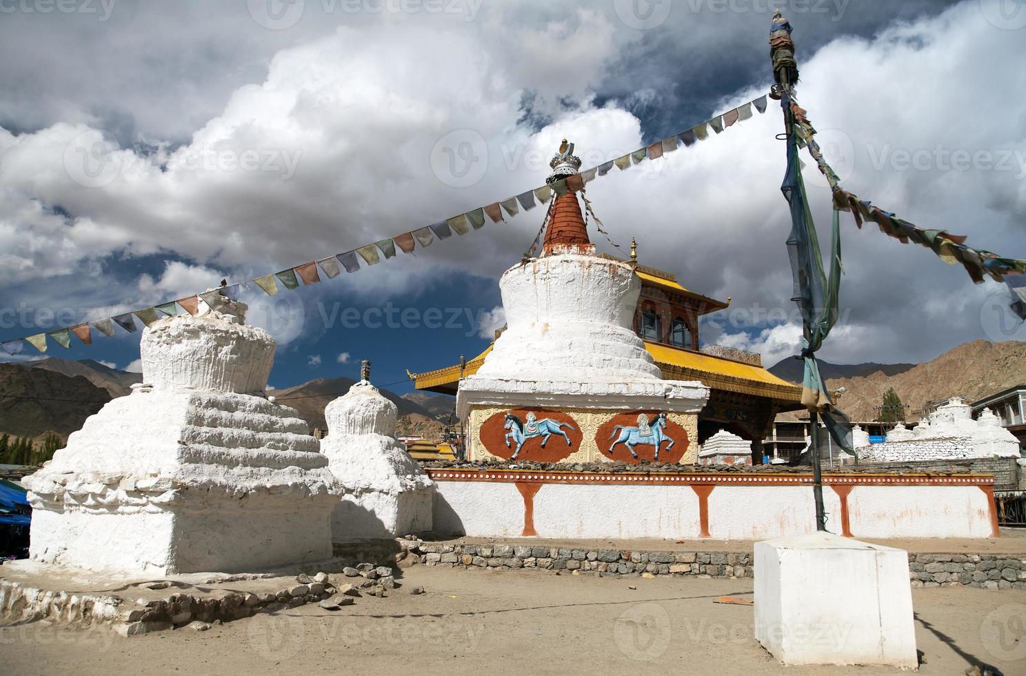 stupa e porta dell'amicizia a leh foto