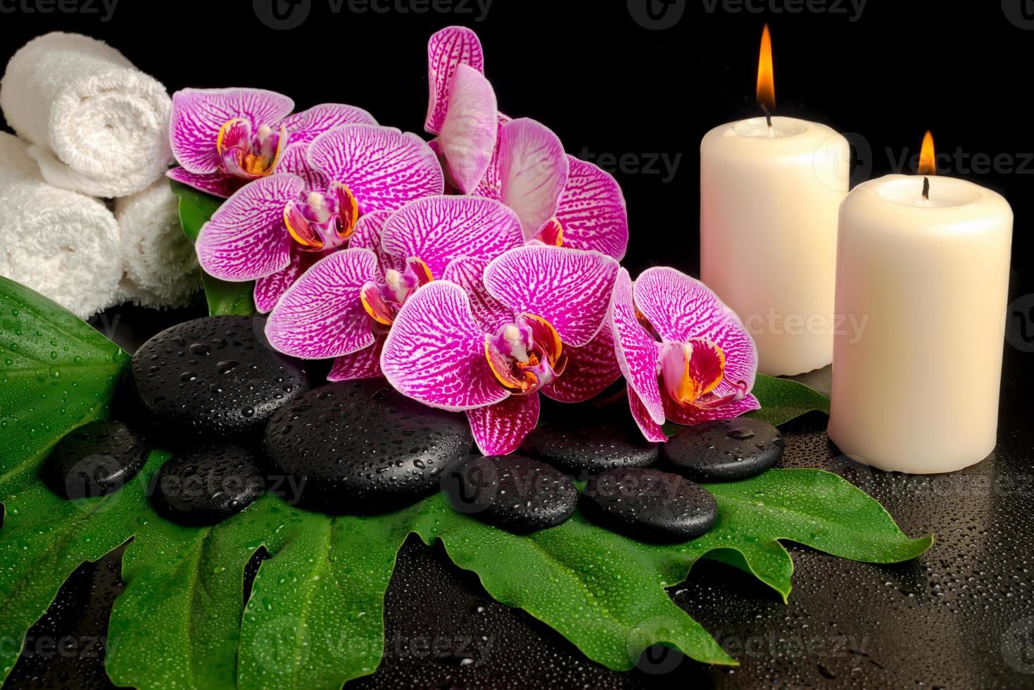 spa set di ramoscello fiorito spogliato orchidea viola, phalaenopsis foto