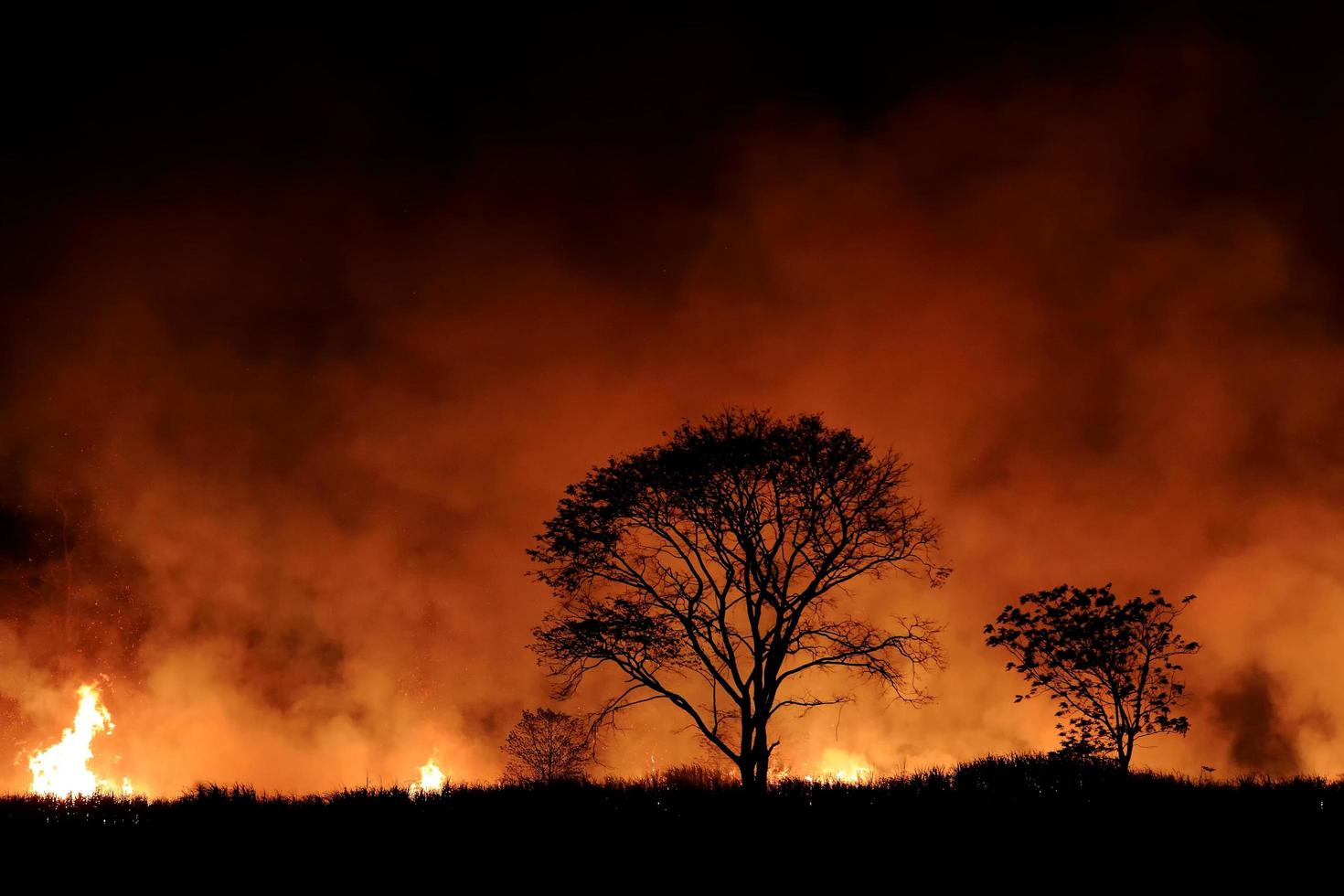 incendi boschivi che bruciavano fumo arancione e rosso riempivano il cielo di notte. foto