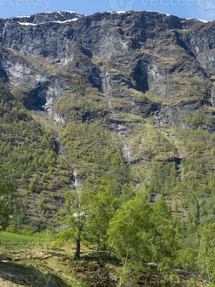 primavera a flam in norvegia foto