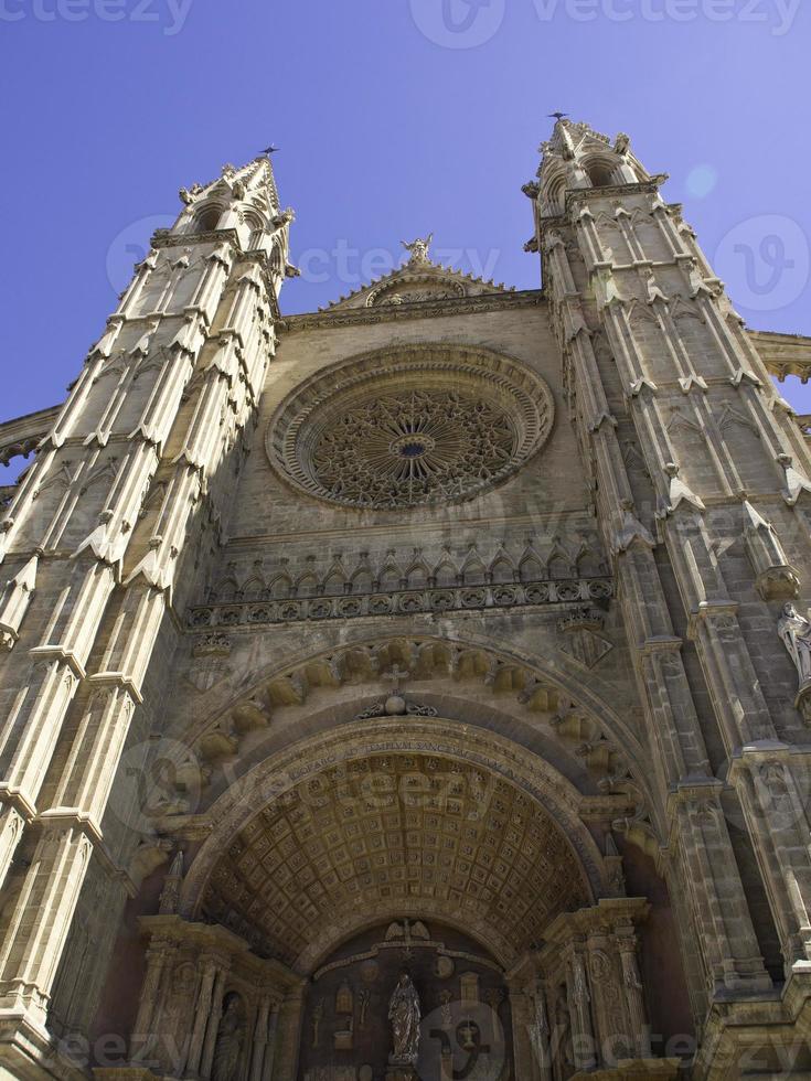 palma di maiorca foto