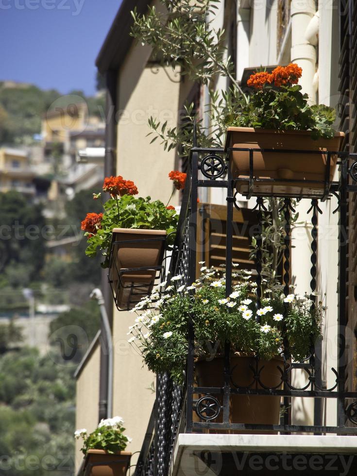 palermo in sicilia foto