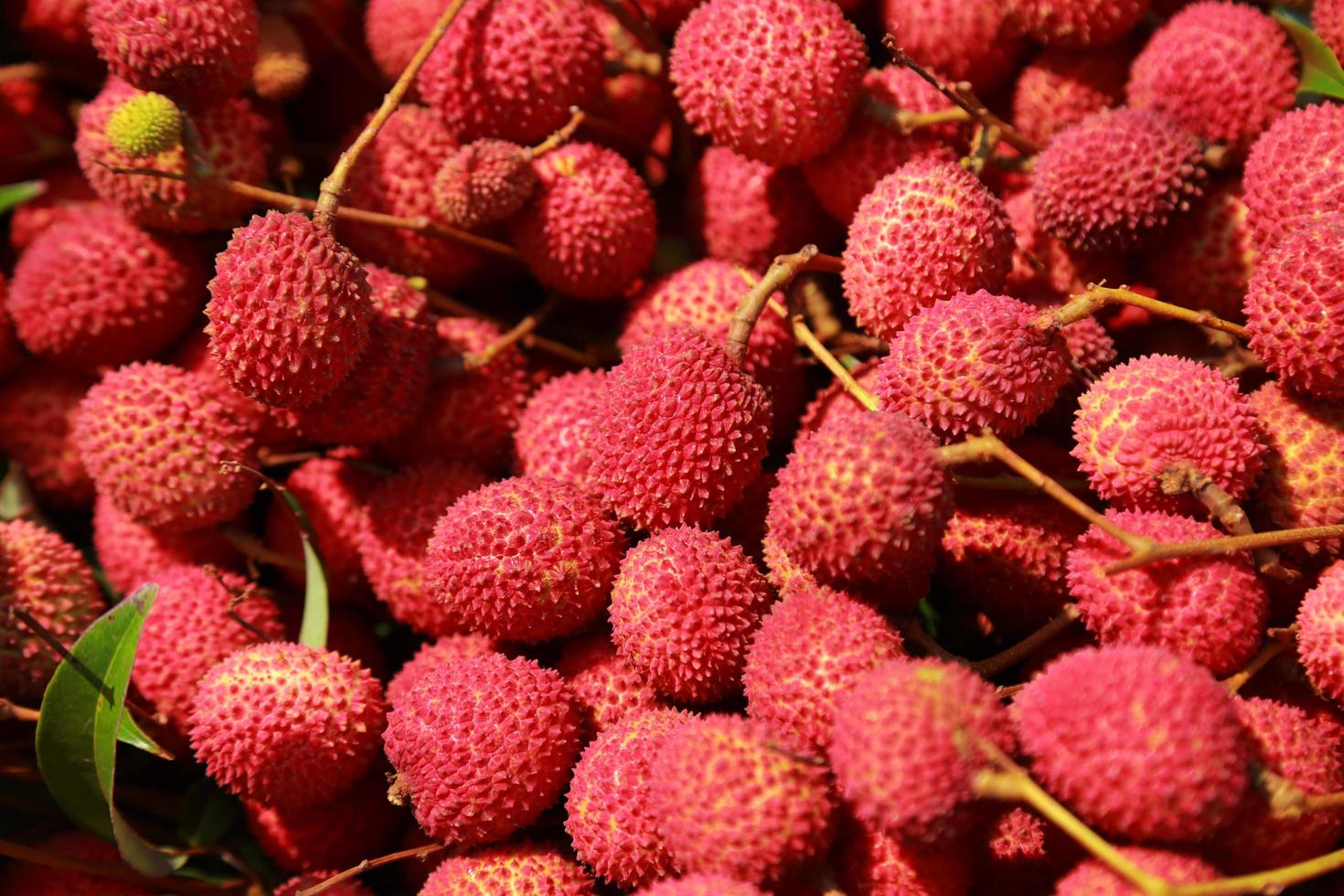 litchi frutta fresca molti di loro sono venduti per la vendita nel mercato. foto