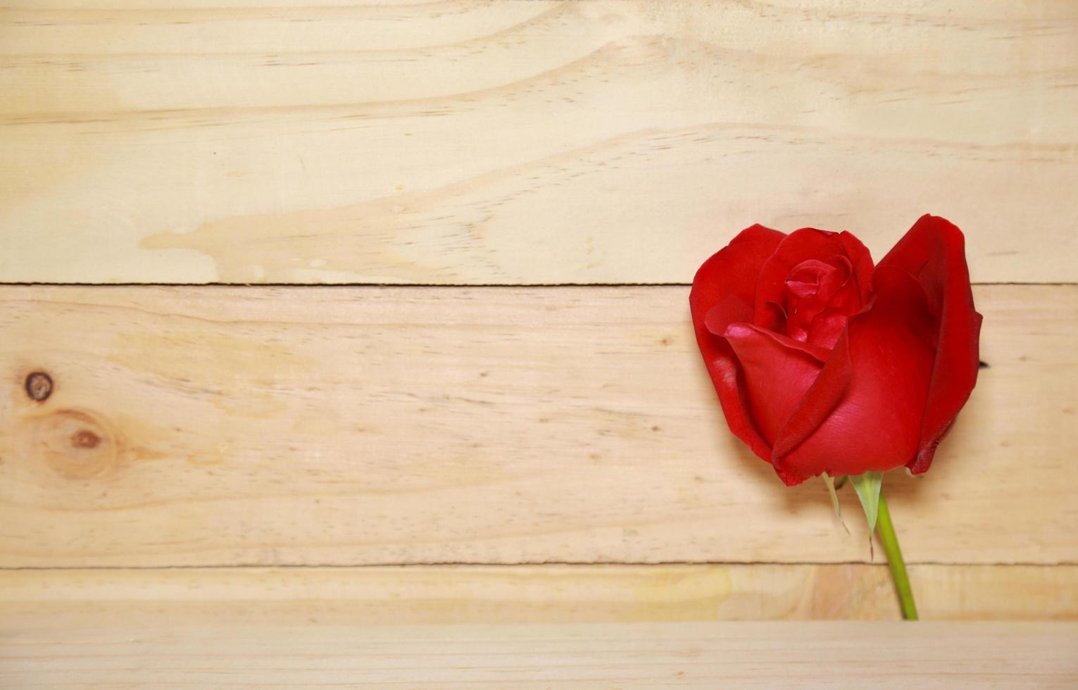 design belle rose rosse su vecchio fondo di legno invecchiato. concetto di San Valentino. spazio per il testo. foto