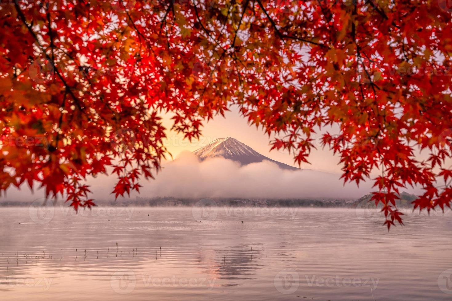 mt. fuji in autunno con foglie d'acero rosse foto