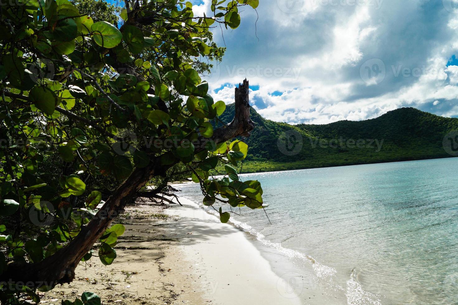 sulla costa di antigua foto