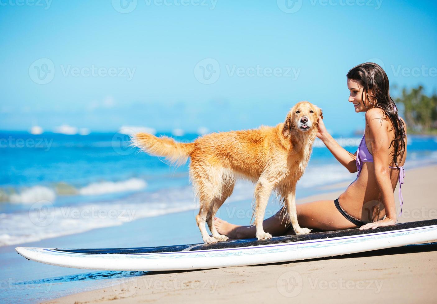 donna che gode della giornata di sole in spiaggia con il suo cane foto