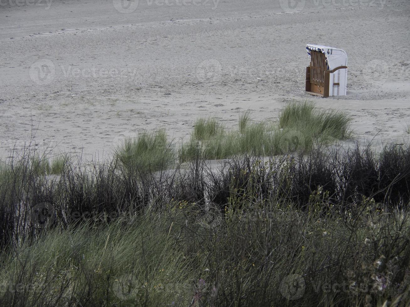 spiekeroog nel mare del nord foto