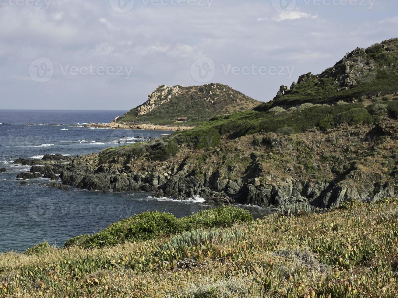 isola della corsica nel mar mediterraneo foto